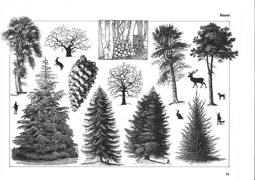 Baum, B&auml;ume, Baum, Laubbaum, Tannenbaum, Nadelbaum, Hase, J&auml;ger, Hirsch, Tannenzapfen, Ente, Hund, Holzstapel, B&auml;ume ohne Laub